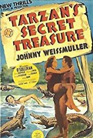 Tarzan's Secret Treasure